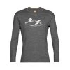 Top 10 ???? Icebreaker 200 Oasis LS Crewe Last Run - Sous-vêtement mérinos homme ????