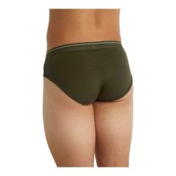 Nouveau ???? Icebreaker Anatomica Briefs - Slip homme ???? -Icebreaker Shop icebreaker anatomica briefs slip homme loden 2