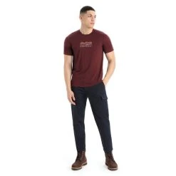 Top 10 ???? Icebreaker Tech Lite II SS Tee Mountain Geology - T-shirt en laine mérinos homme ???? -Icebreaker Shop icebreaker tech lite ii ss tee mountain geology t shirt en laine merinos homme espresso 2