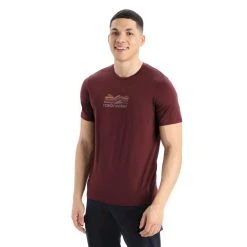 Top 10 ???? Icebreaker Tech Lite II SS Tee Mountain Geology - T-shirt en laine mérinos homme ????